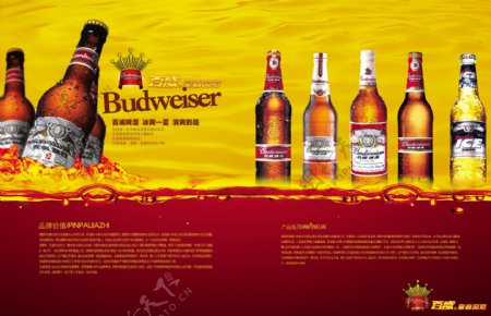 PSD百威啤酒产品画册封面素材下载