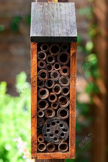 蜜蜂的巢穴