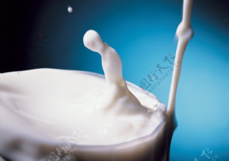 一杯洁白牛奶图片