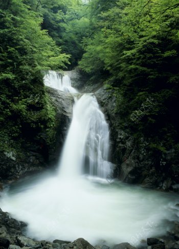 山中漂亮的瀑布写真图片图片