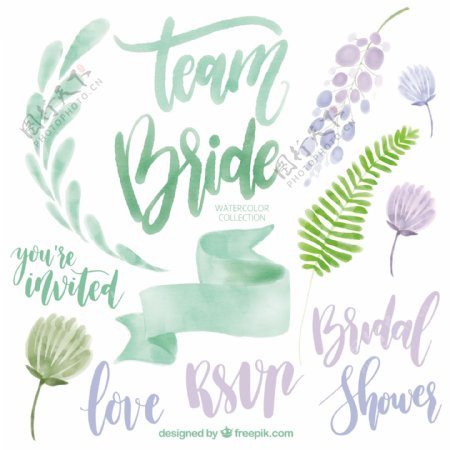 收集绿色和紫色色调的水彩婚礼元素