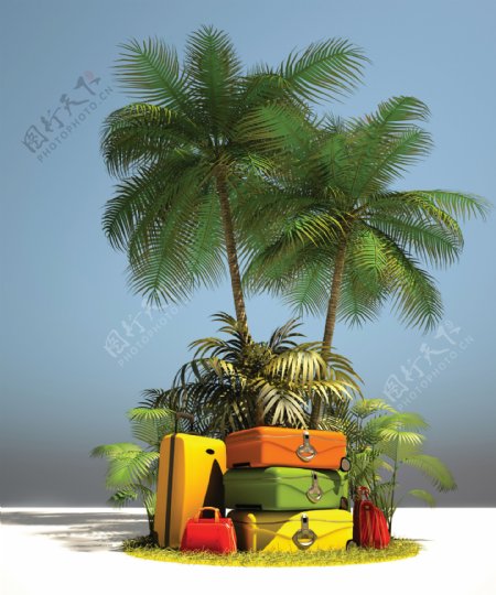椰树与旅行箱图片