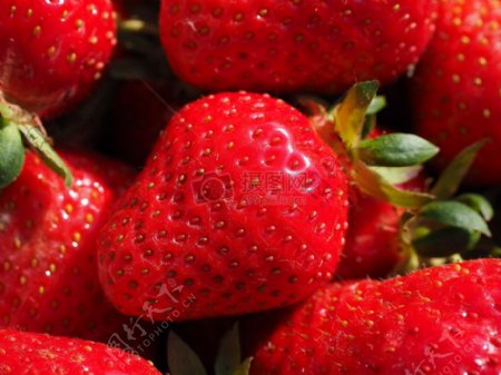 红色的水果草莓