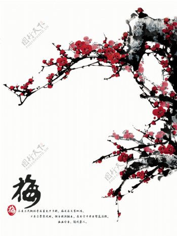 中国画梅花图片