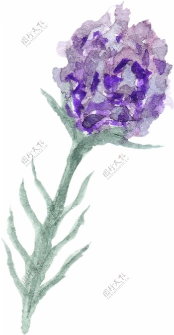 一束紫色水彩墨花束