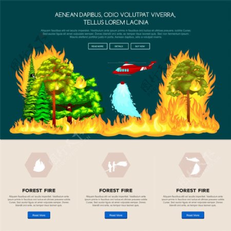 火焰树林图片