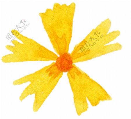 黄色四片花瓣花朵图片素材