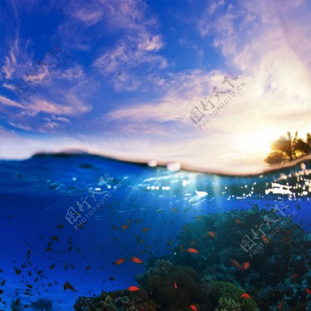 美丽海底世界风景图片