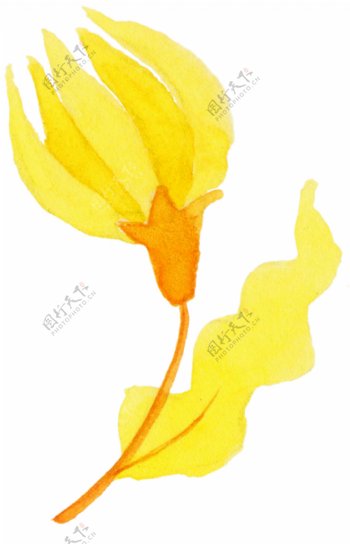 黄色经典花朵图片素材
