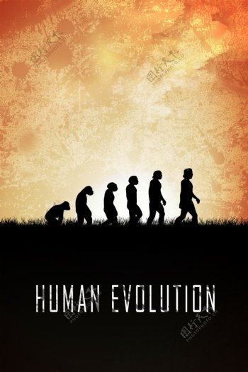 人类进化海报