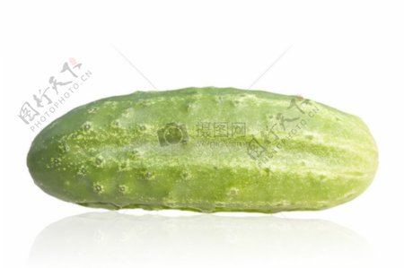 一根绿色的黄瓜