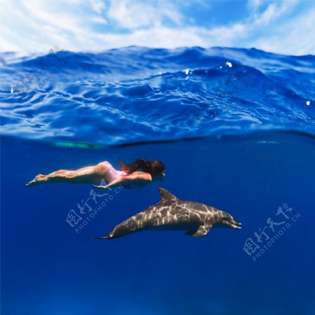 美丽海底世界与海豚图片