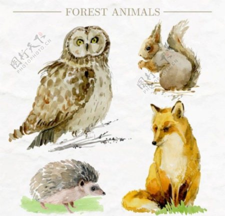 生动彩绘森林动物矢量素材