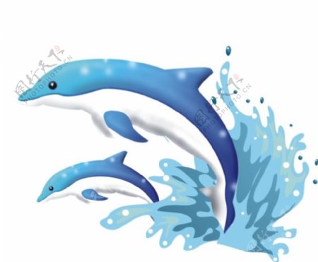 海豚卡通素材