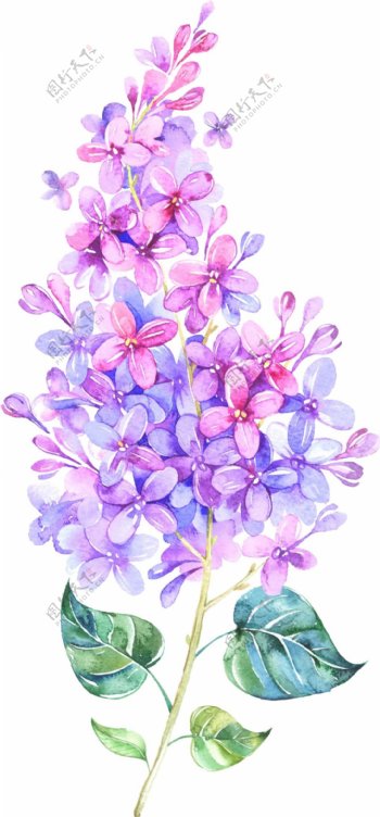 手绘水墨花朵元素