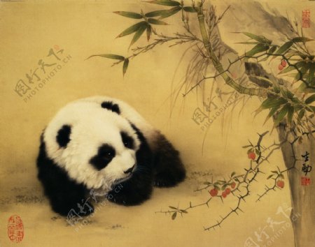 国画大熊猫图片