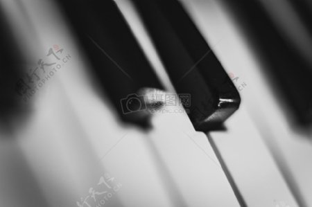 黑与白音乐钢琴钥匙