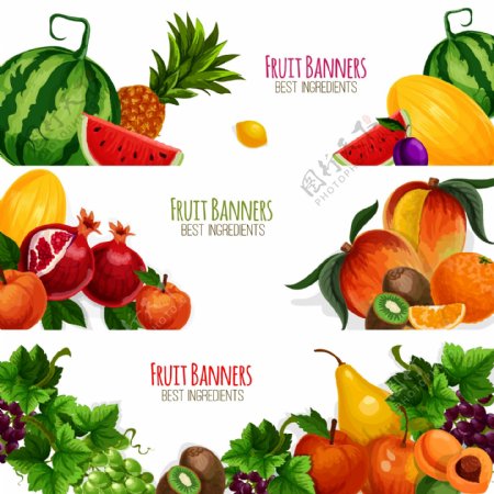 夏天健康蔬菜水果海报卡片背景矢量