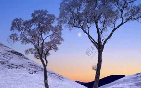 冬季黄昏美景图片