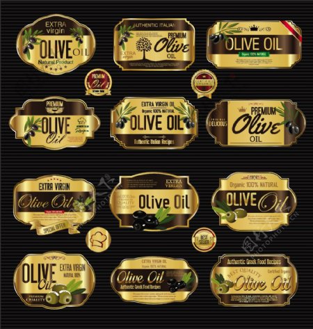 时尚橄榄油标签设计矢量素材