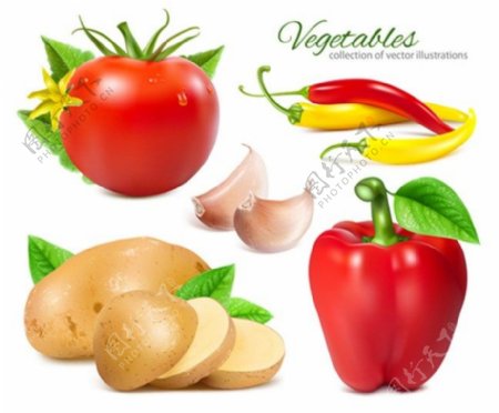 蔬菜背景素材