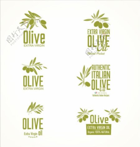 绿色橄榄油标签图片1