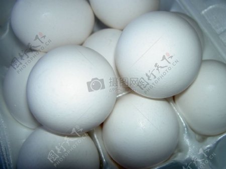 蛋托里的白色鸡蛋