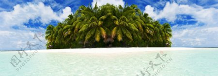 海面上的椰树图片