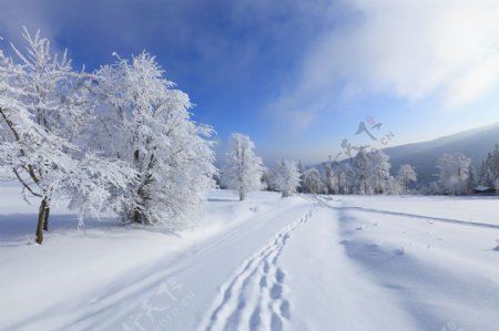 雪景背景素材图片