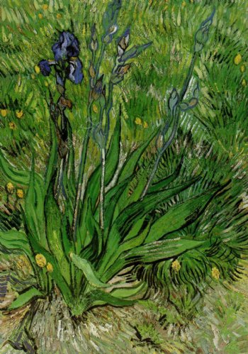手绘植物背景素材图片