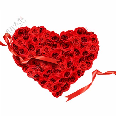 心形红色玫瑰花与丝带图片