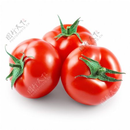 番茄摄影图片