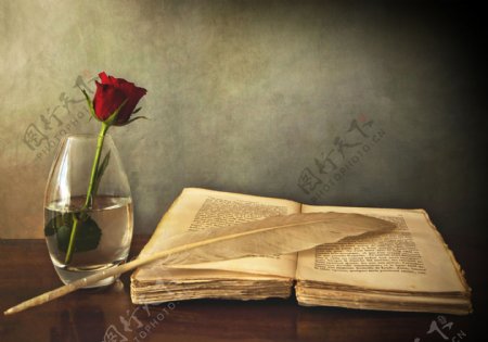 复古书籍与红色玫瑰花图片