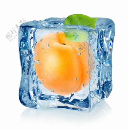 冰冻的杏子图片