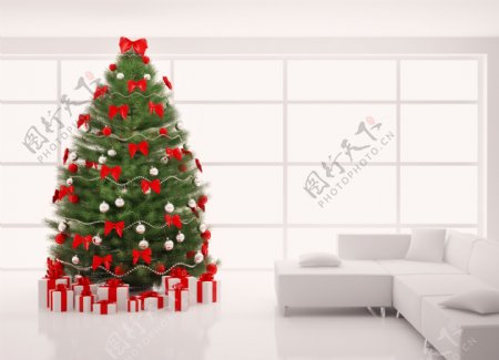 沙发和圣诞树