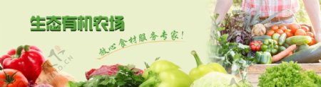 蔬菜banner生鲜banner广告