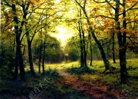 森林阳光油画图片
