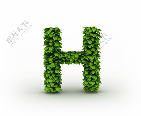 绿叶组成的字母H