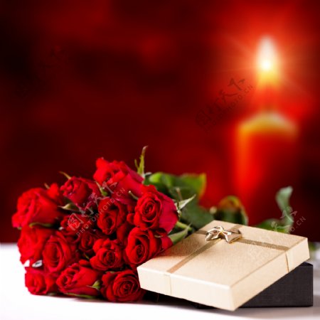 红色玫瑰花与礼盒图片