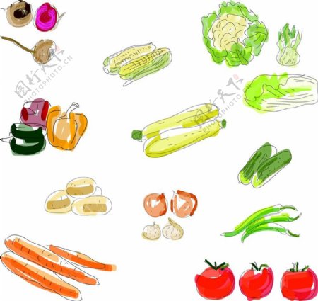 手绘卡通蔬菜图片