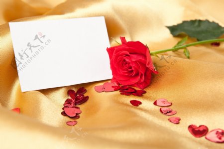 红色玫瑰花与贺卡图片