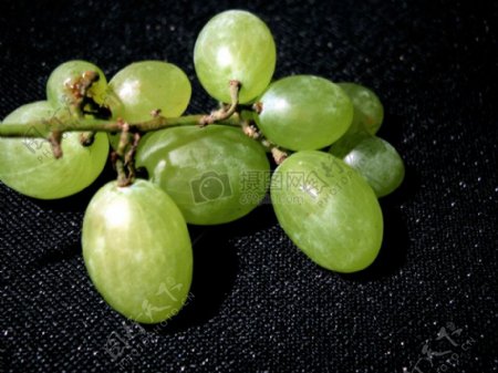绿色的葡萄素材