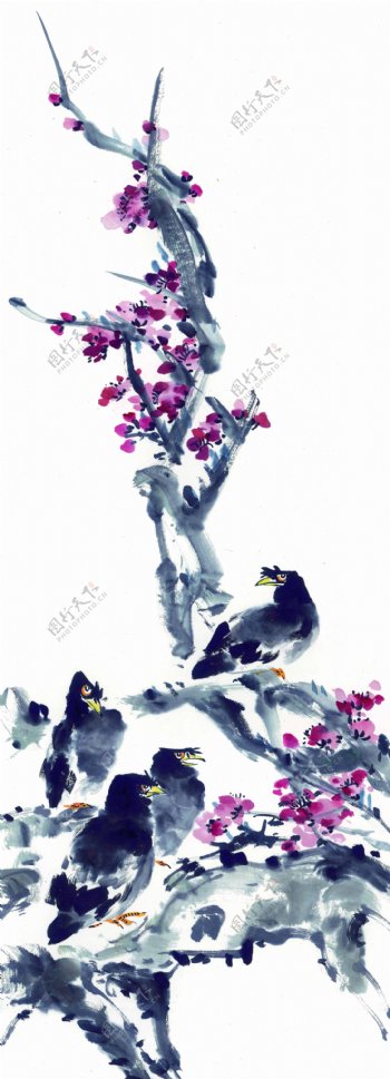 鲜花与乌鸦插画图片