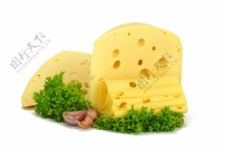 奶酪与生菜图片