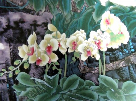 水墨花卉植物图片
