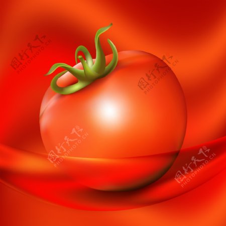 卡通番茄西红柿蔬菜矢量