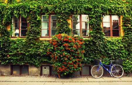 自行车与窗户