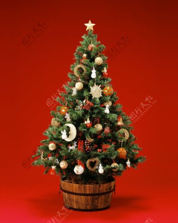精美圣诞树素材