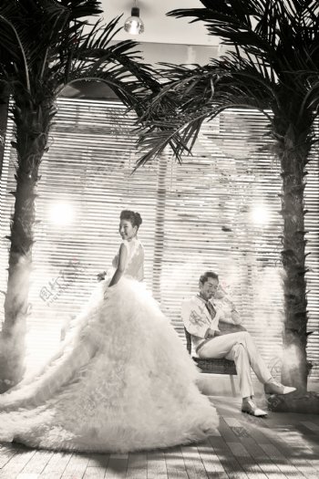 黑白风格婚纱艺术照图片
