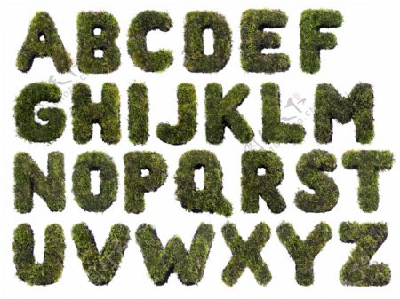 绿色树叶字母设计